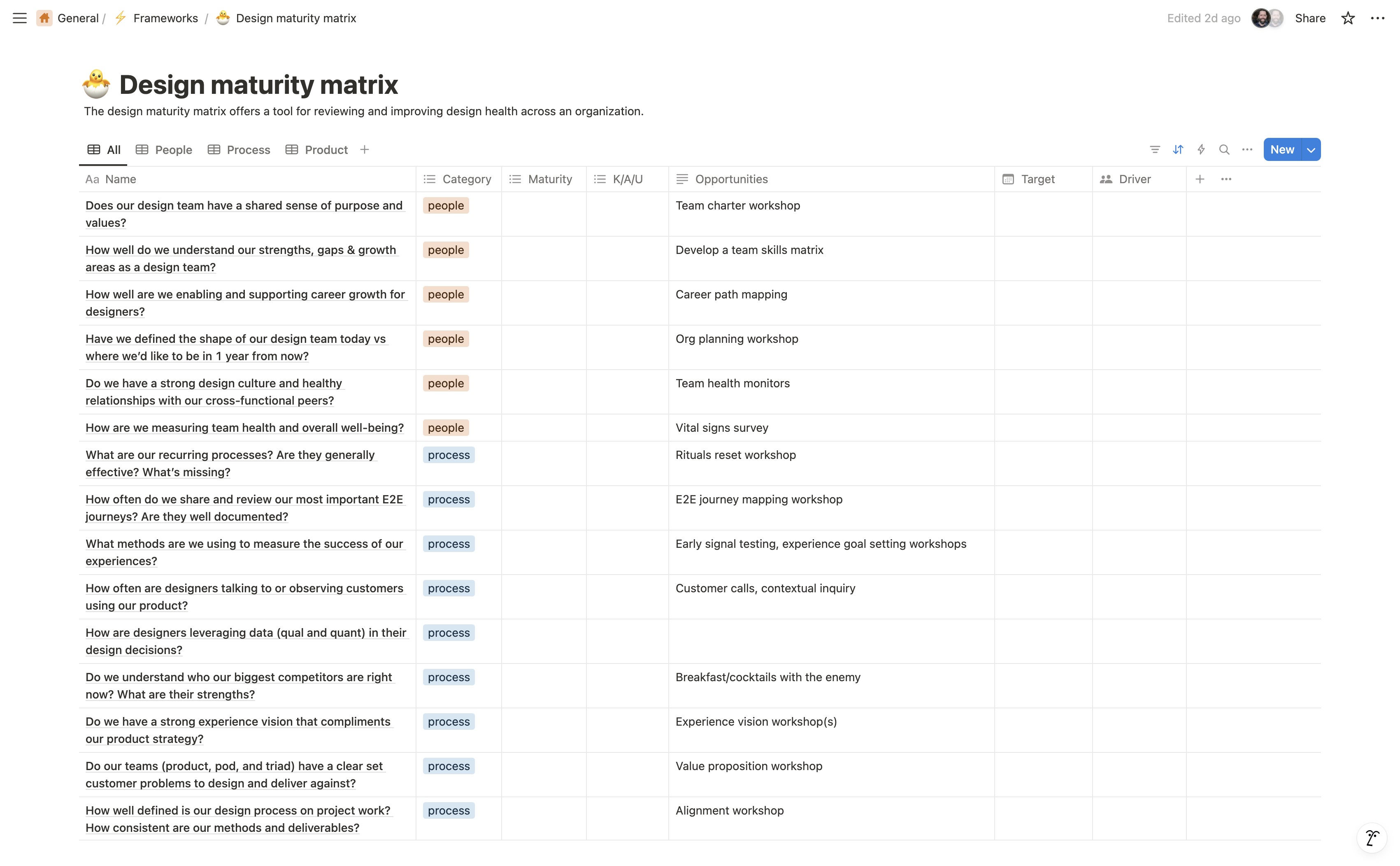 Design team maturity matrix