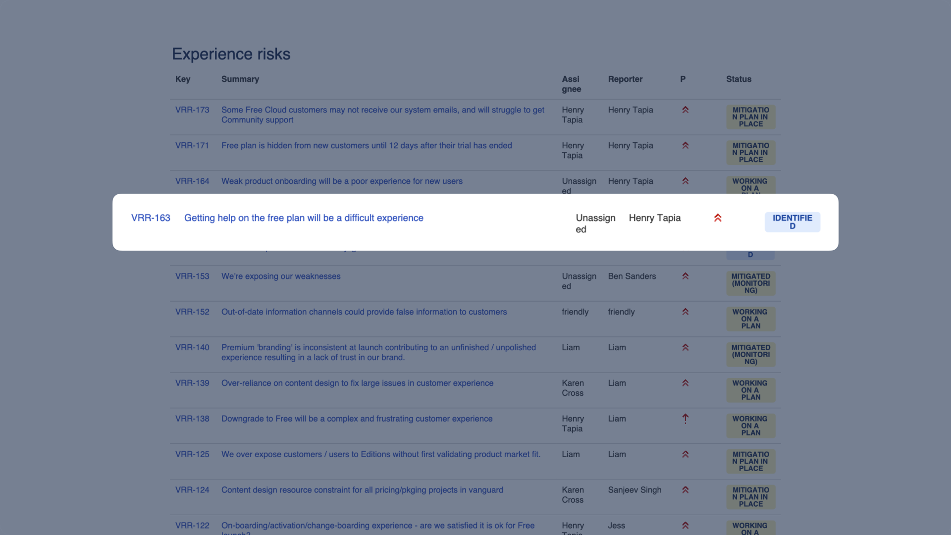 Program-level experience risk register