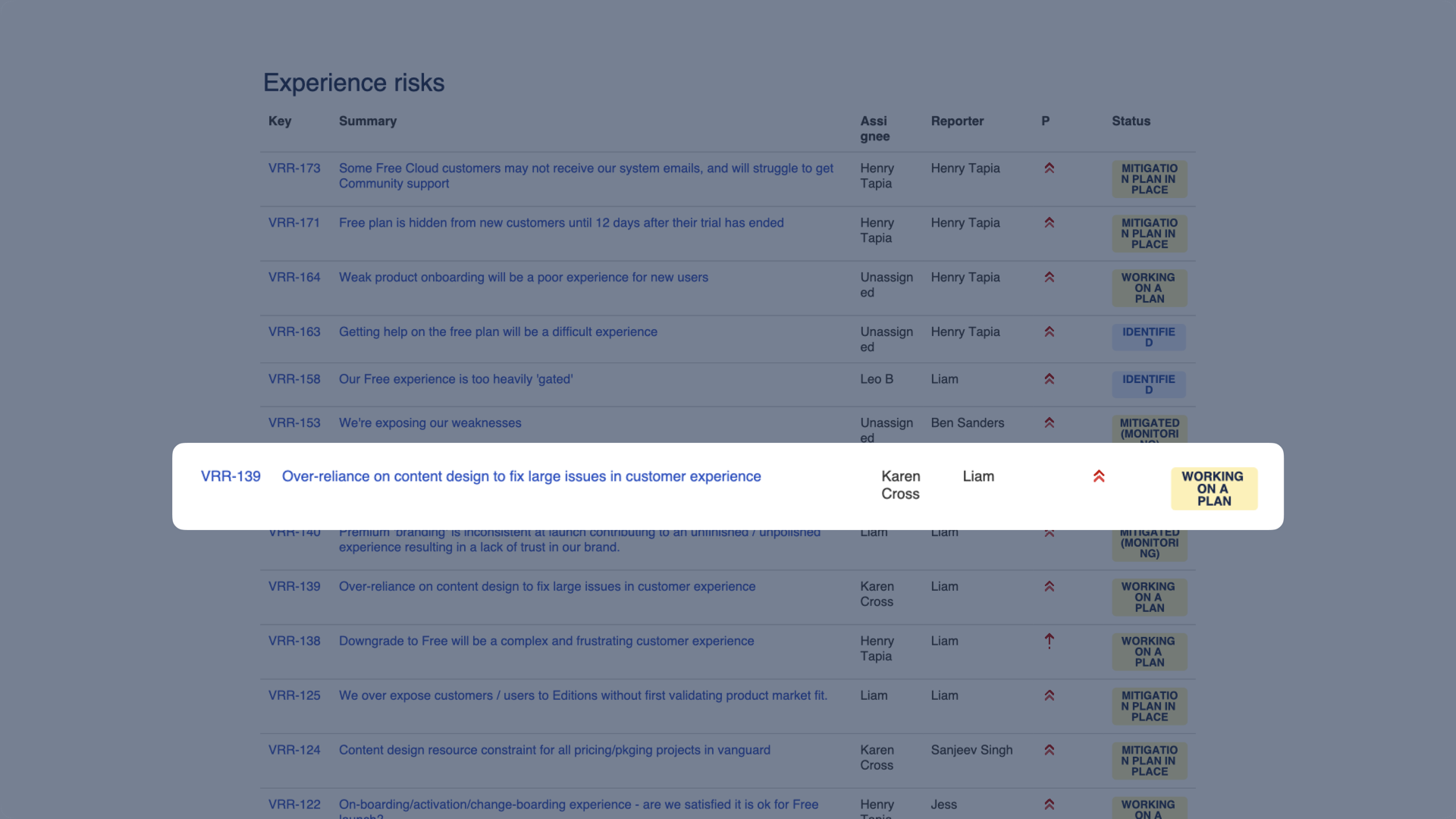 Program-level experience risk register